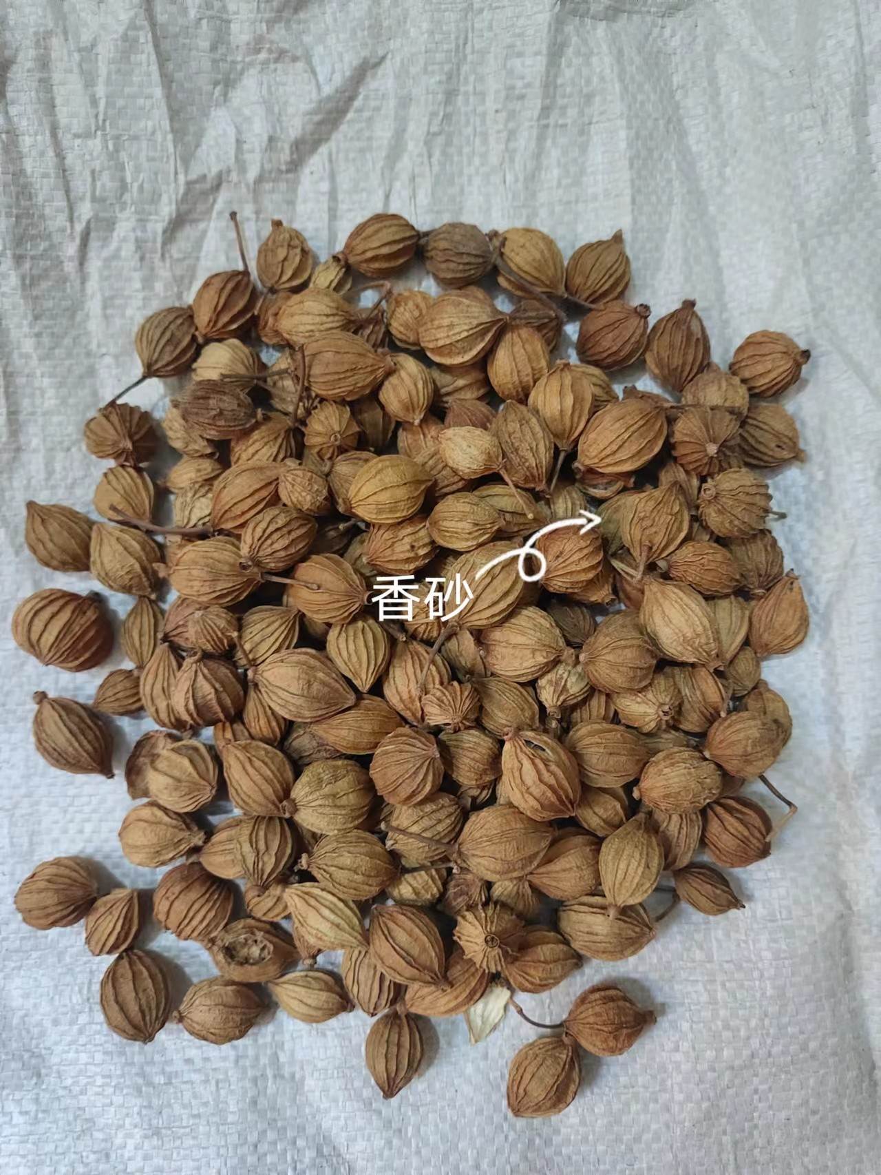 中药材批发大救驾