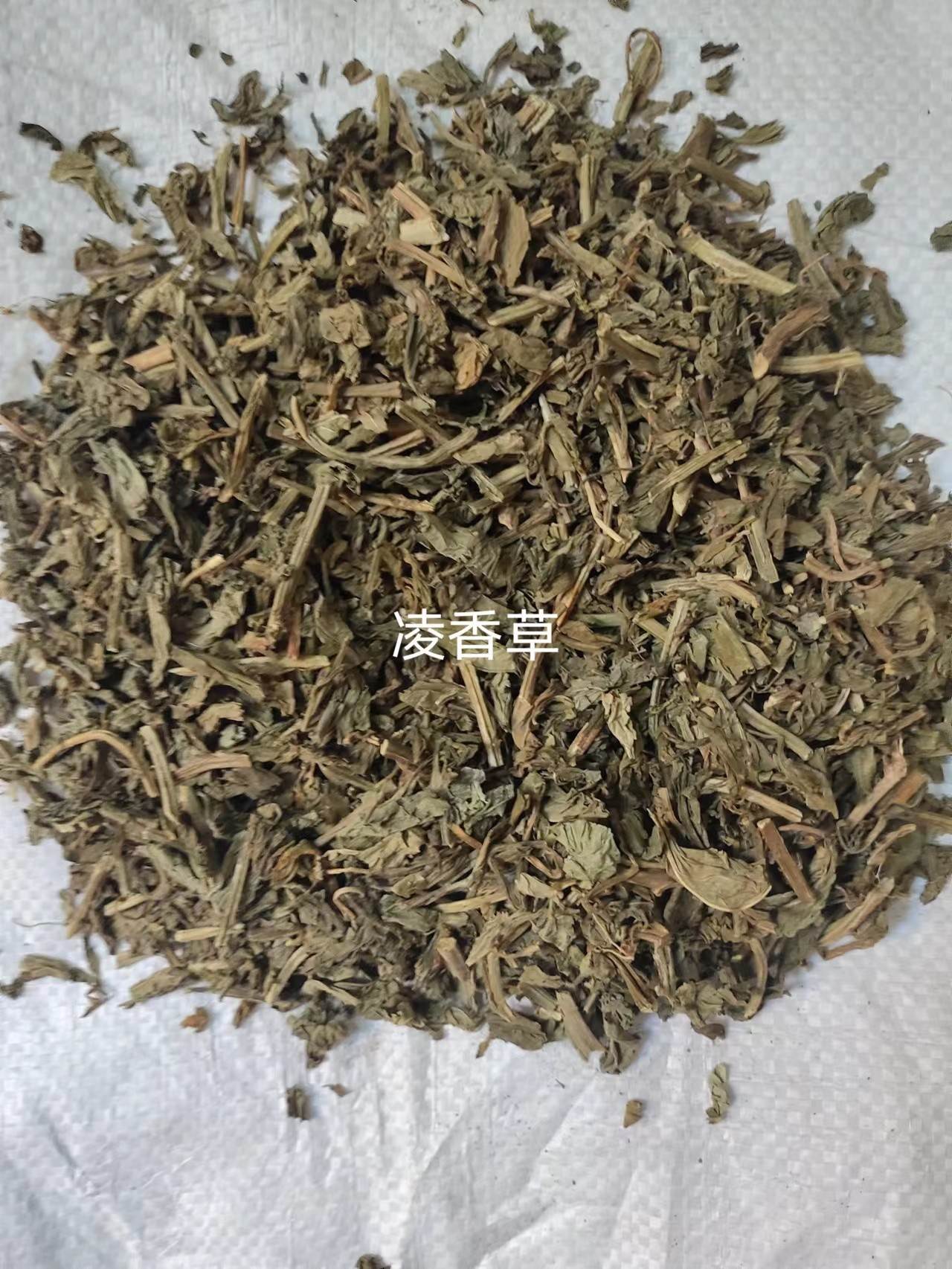 鱼子兰的药用价值图片