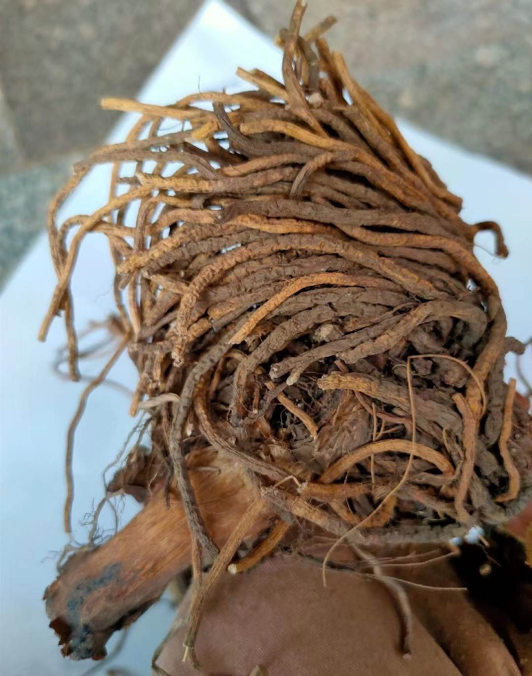 藜芦常年大货批发零售  质量可靠  别名山白菜  一斤价格