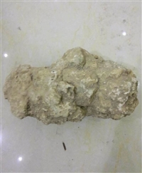 亳州中药材姜石批发零售  质量可靠  别名蛎石  一斤价格