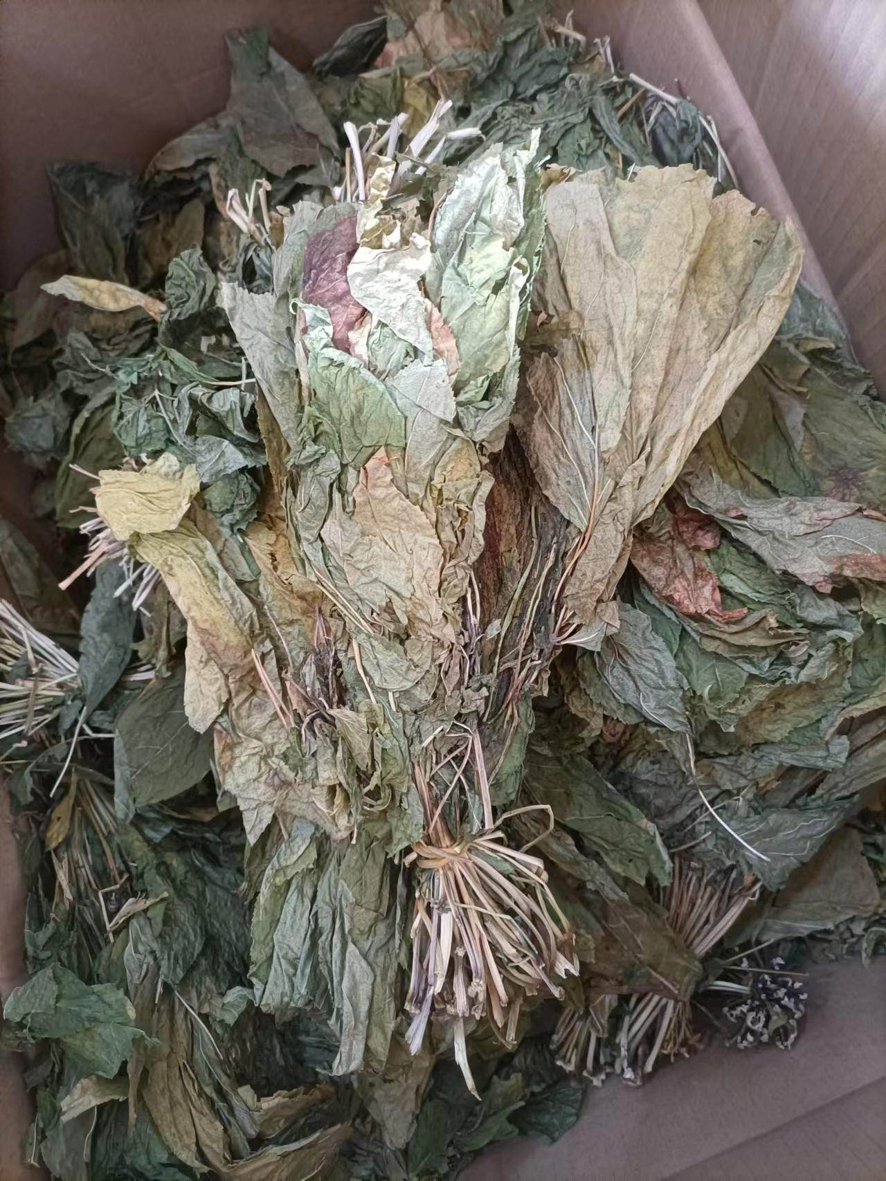 中药材网上交易昆麻枝叶有人收吗?