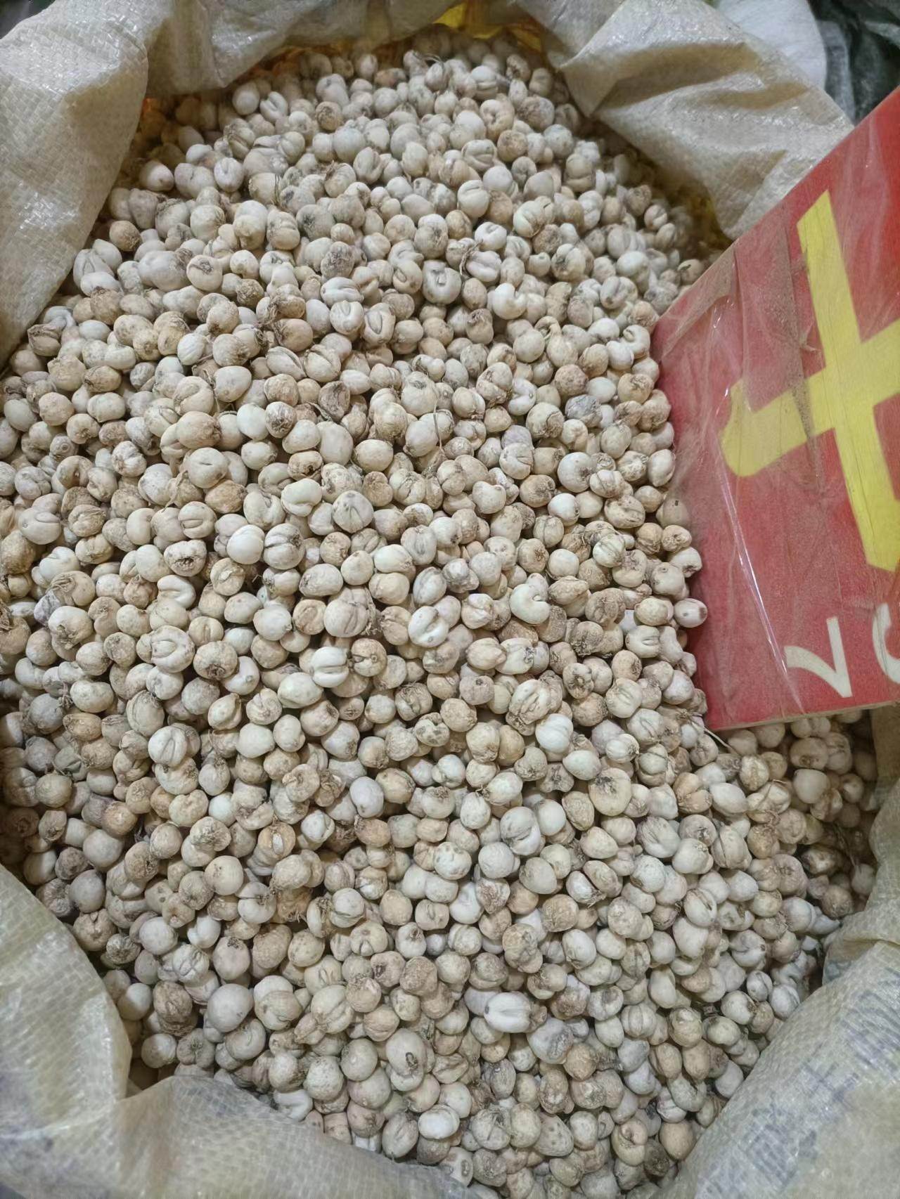 中药材批发双蝴蝶草