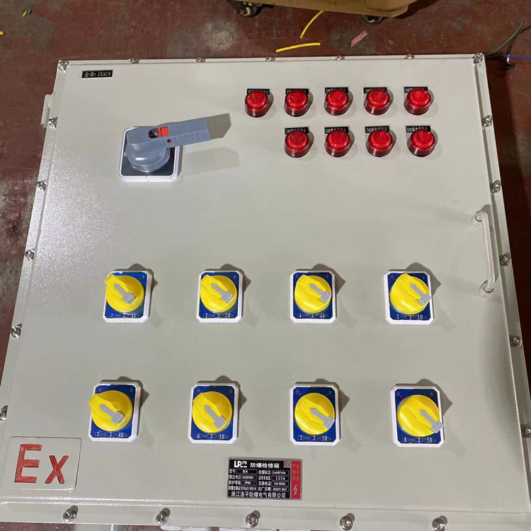 洛平防爆 仪表控制接线动力开关箱 户外照明防爆配电箱 IP65防爆箱 定制 BXK