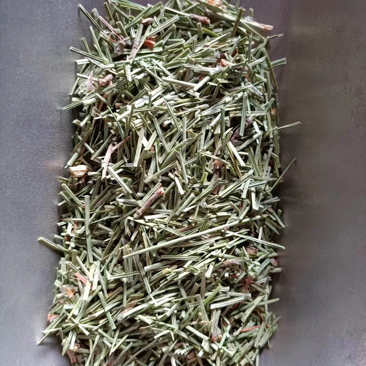 供应中药松针     松针的功效