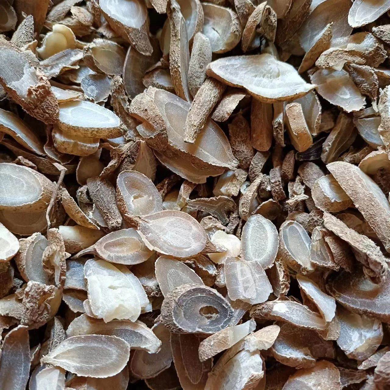 供应中药材郁金 郁金的批发价格