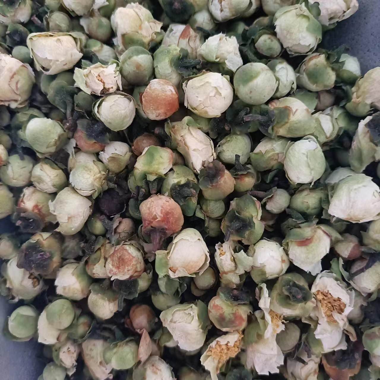 冷背药材供应丢了棒    丢了棒别名