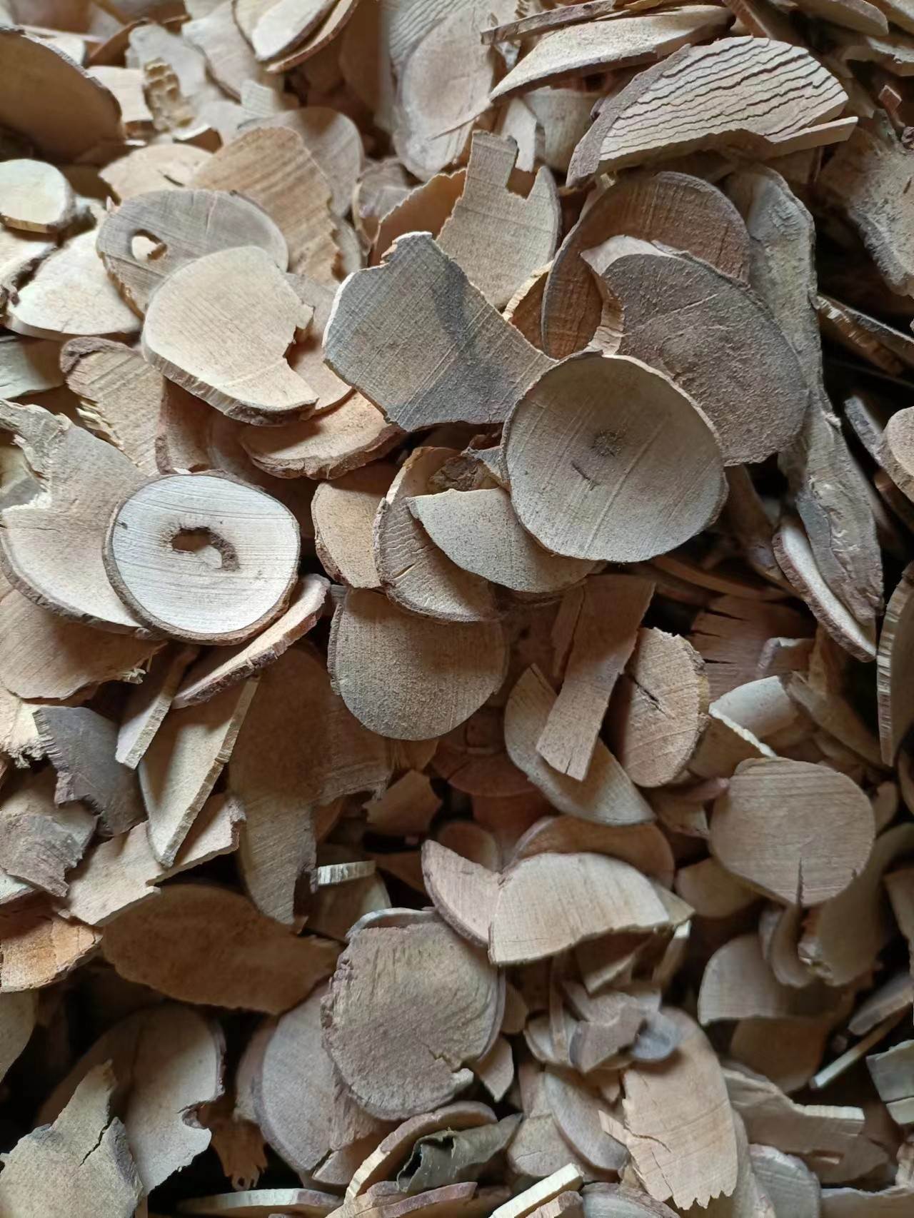 常年供应中药材乌药    乌药新货