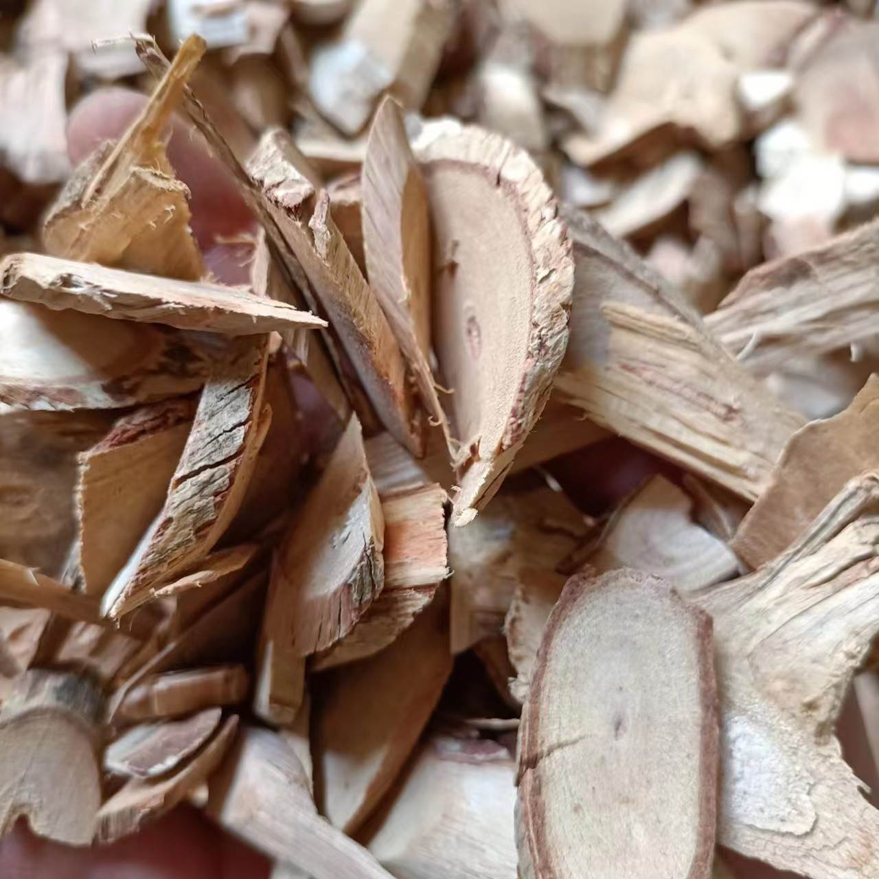 供应中药材战骨    战骨的功效与作用