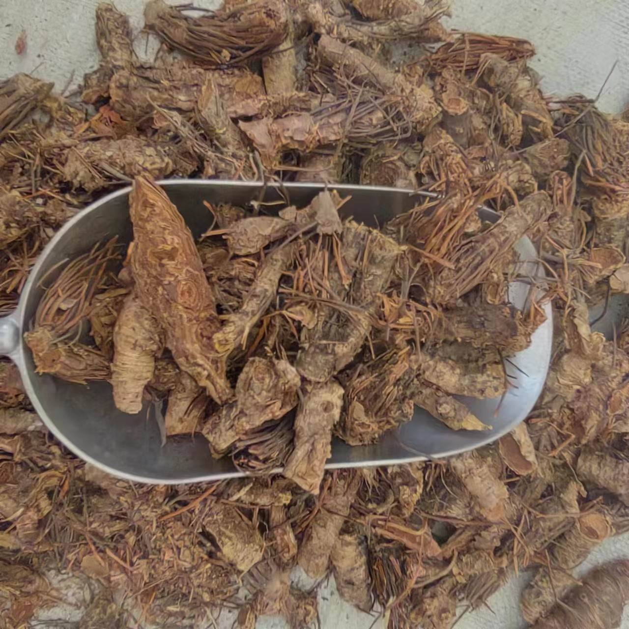 中药材批发华梁草