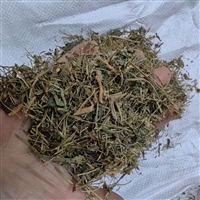 中药材批发塘葛菜