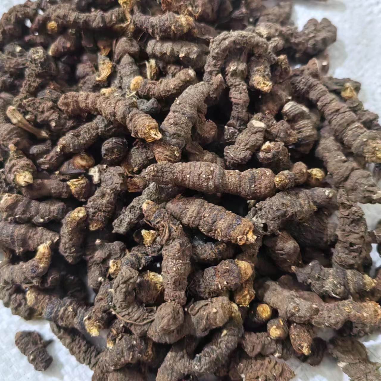 中药材穿山龙图片