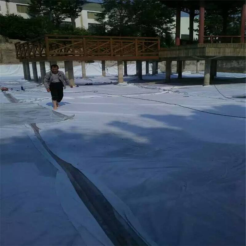 1.5mm大坝防渗黑膜 蓄水池养殖鱼塘 沼气池防水耐腐蚀土工膜
