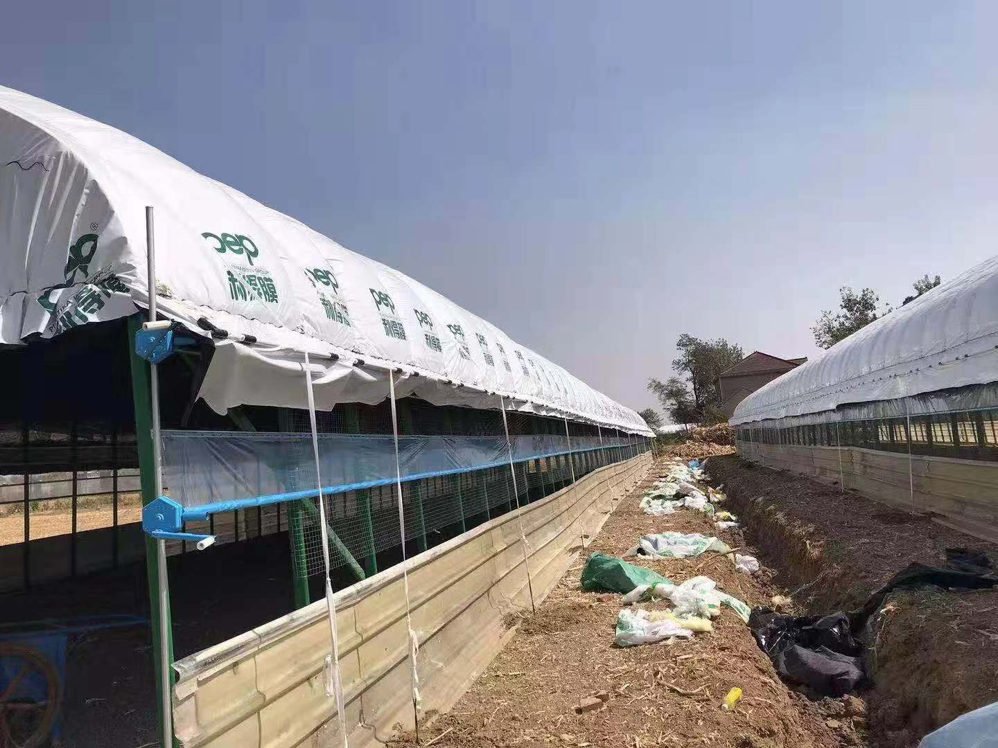 泉州養殖大棚骨架廠家養魚大棚搭建造可按要求定製