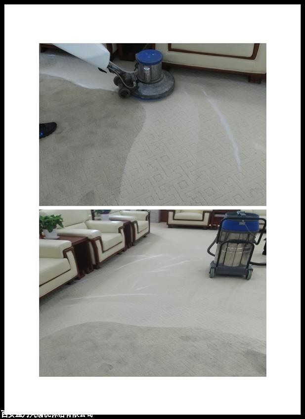 日常地毯清洗报价 服务值得信赖