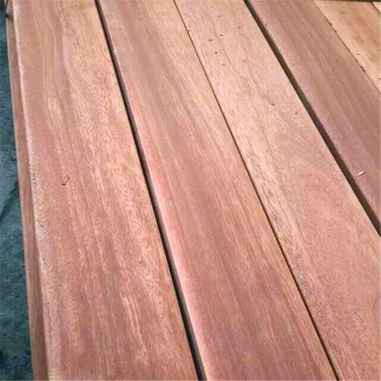 红梢木价格黄梢木预定立享优惠