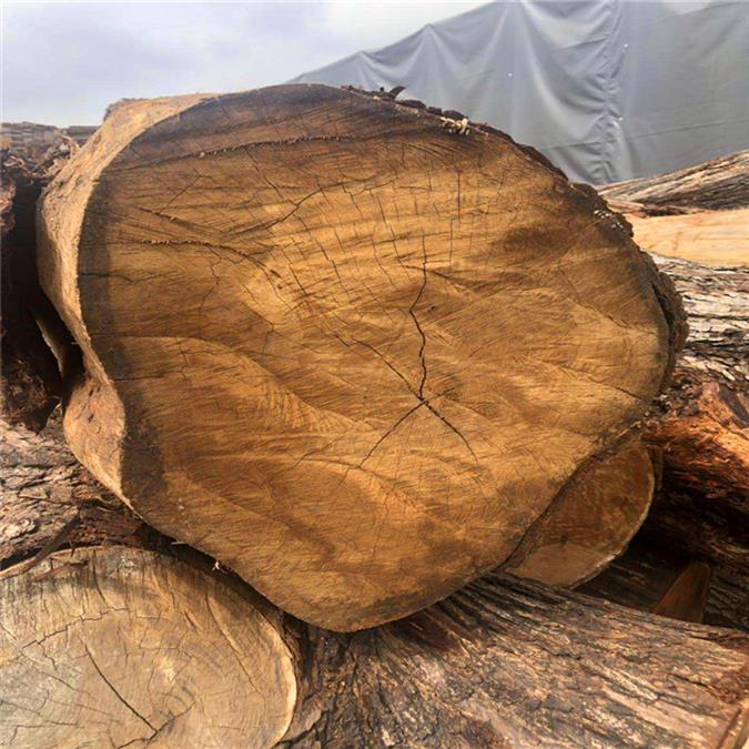 印尼红梢木 黄梢木 详情了解更多