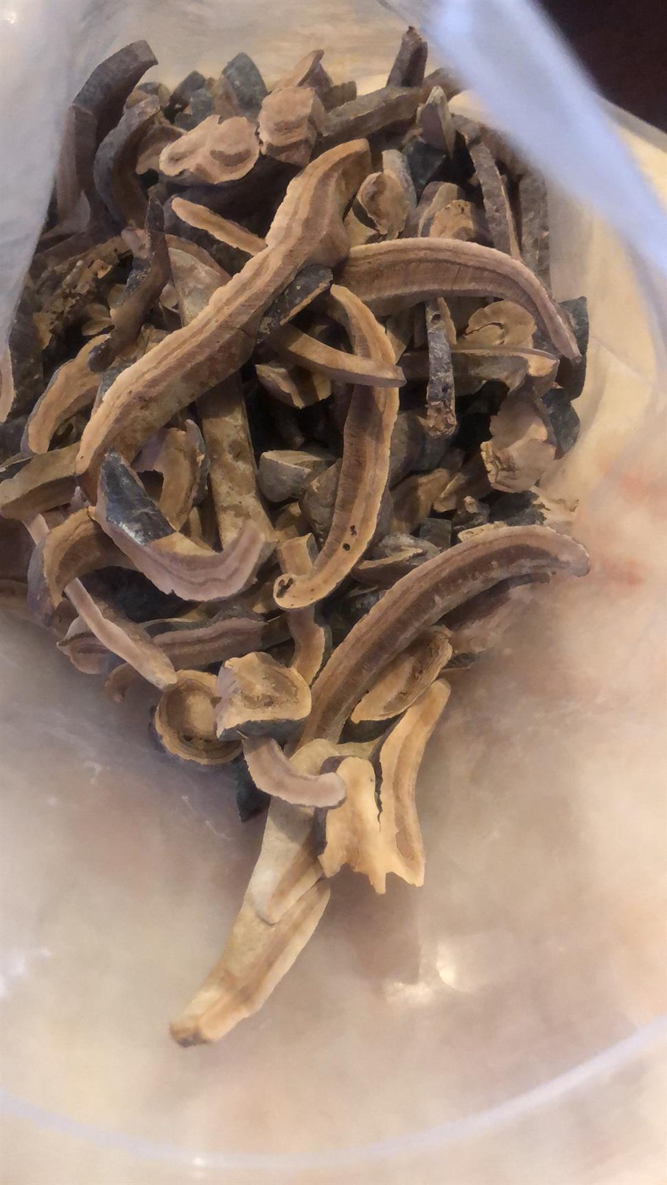 专业的野生赤灵芝太平畈乡赤芝点击免费获取报价