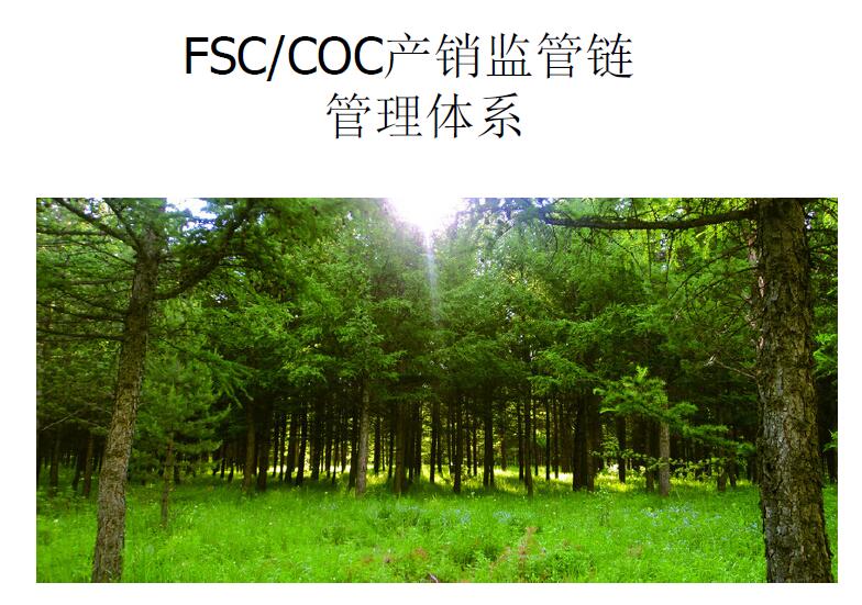 FSC认证森林认证办理深圳广州森林认证辅导培训申请