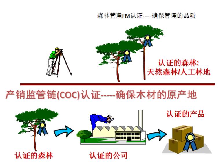 东莞FSC认证森林管理体系认证办理