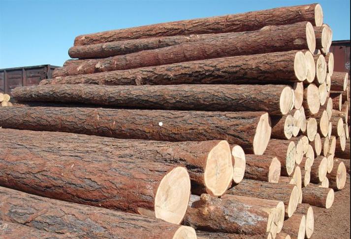 日本木材进口清关 专业进口报关业务