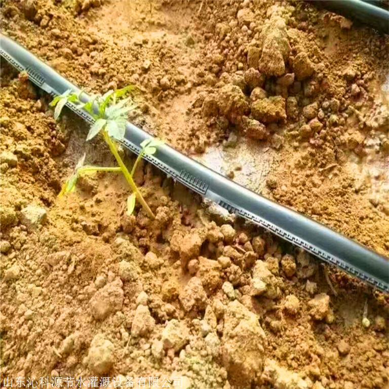 太原单翼迷宫式滴灌带