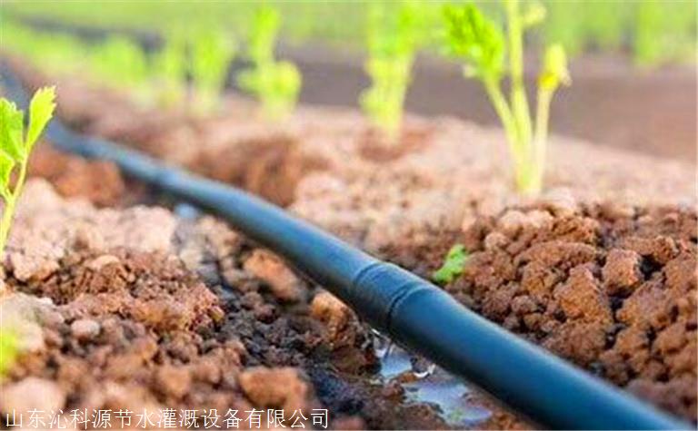 深圳葡萄滴灌管