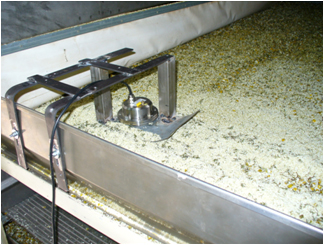 小麦在线水分检测仪 固体在线水分仪精准测量