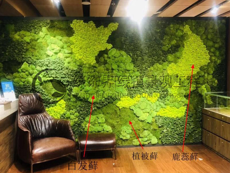真植物墙-防紫外线仿真尤加利植物墙定制