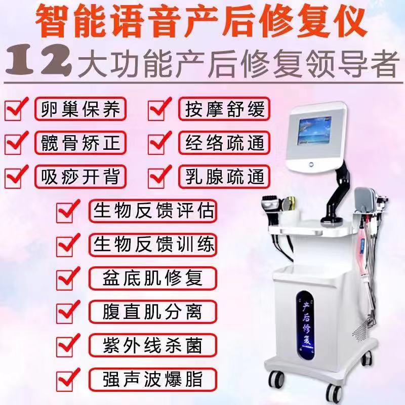 盆底肌修复仪信誉保证 语音款盆底肌修复仪