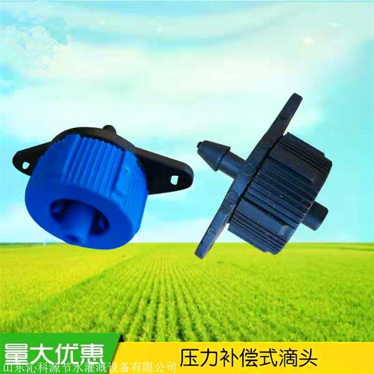 长沙山药贴片滴灌带