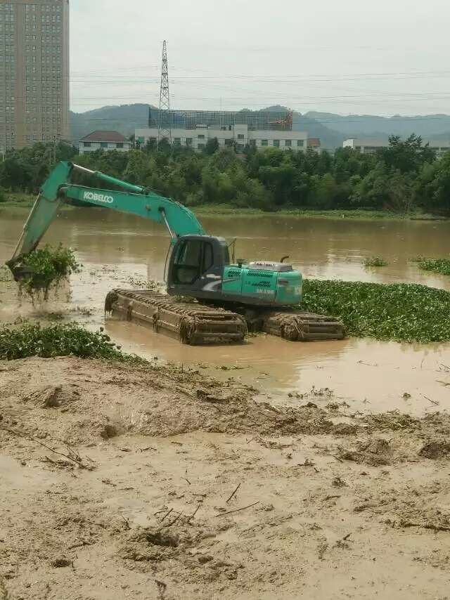 水陸挖機租 水上清淤挖掘機 本地水上挖掘機出租費用