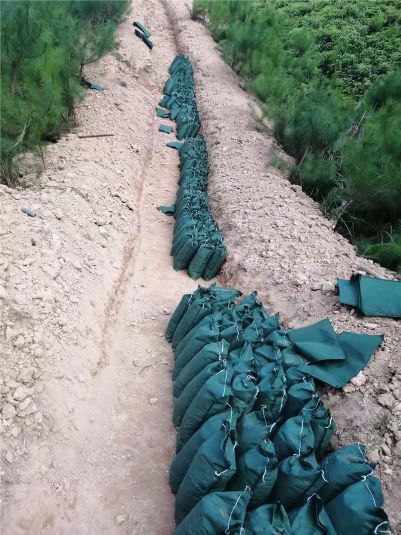 山东生态袋 生态棒 价格实惠