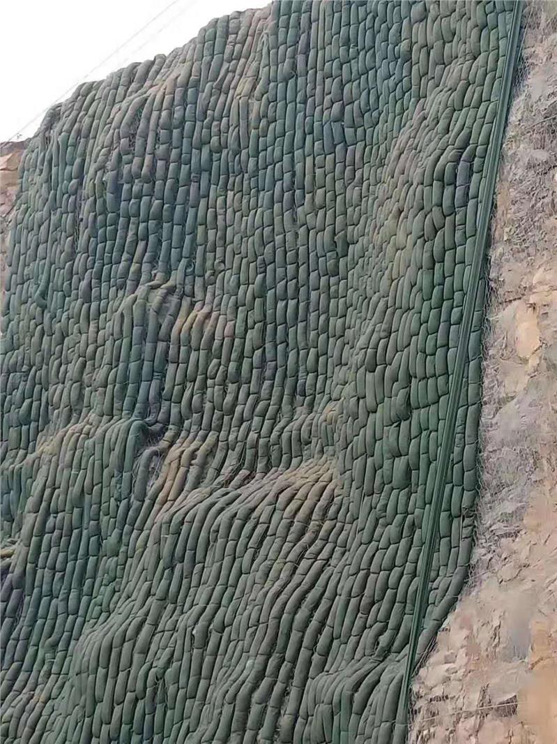 生态袋 边坡防护生态袋 护坡植生袋哪里买