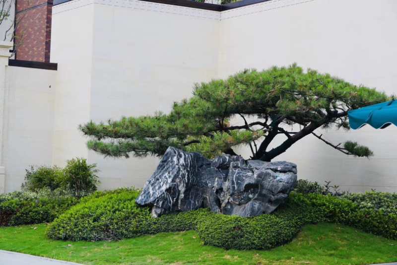 求购草坪石武汉市草坪石购买