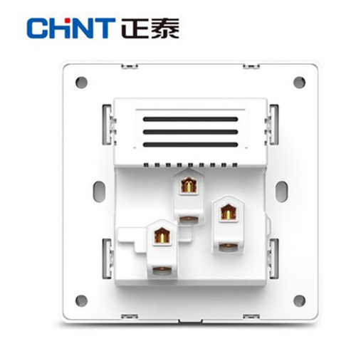 正泰CHINT NEW7S系列一位USB插座，一位两、三极插座10A，NEW7-S13230 白色