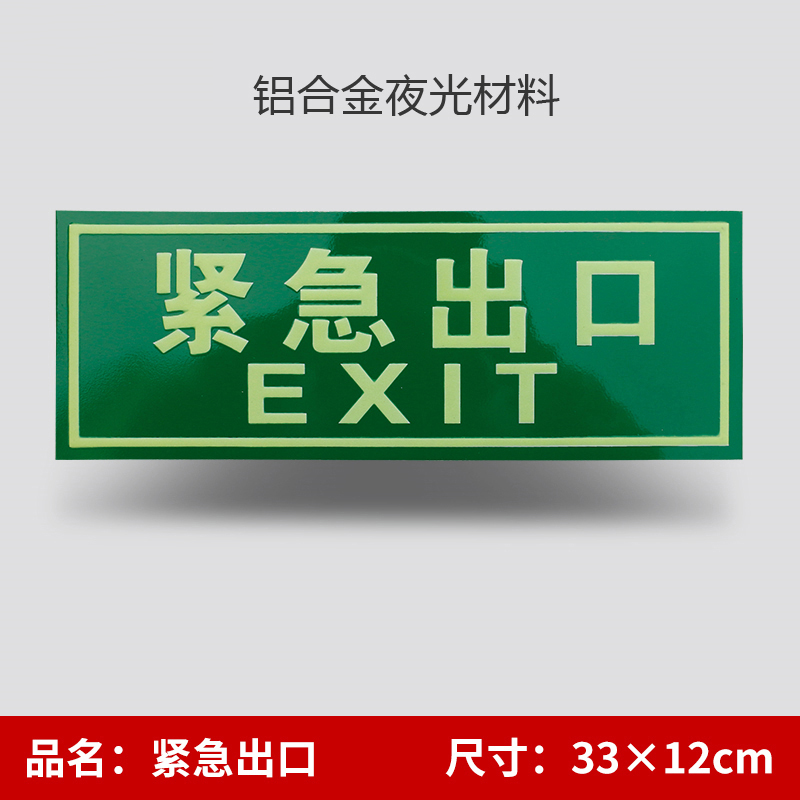 安赛瑞 紧急出口左右单面自发光紧急疏散标识(左右)，铝合金边框，120*330mm  S3009