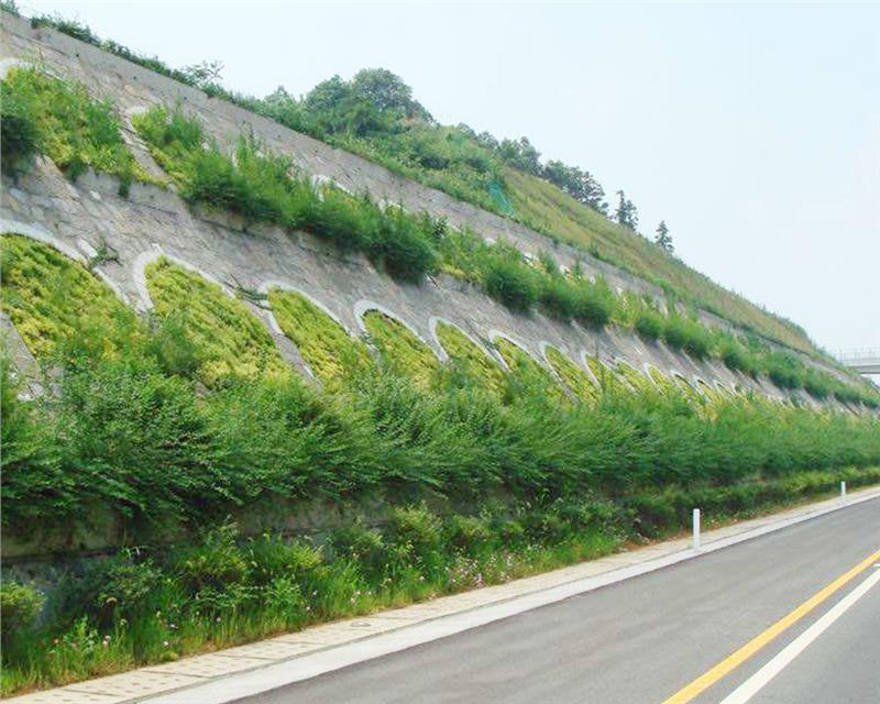 边坡防护番禺区边坡被动网单位快速靠谱省钱省时省心