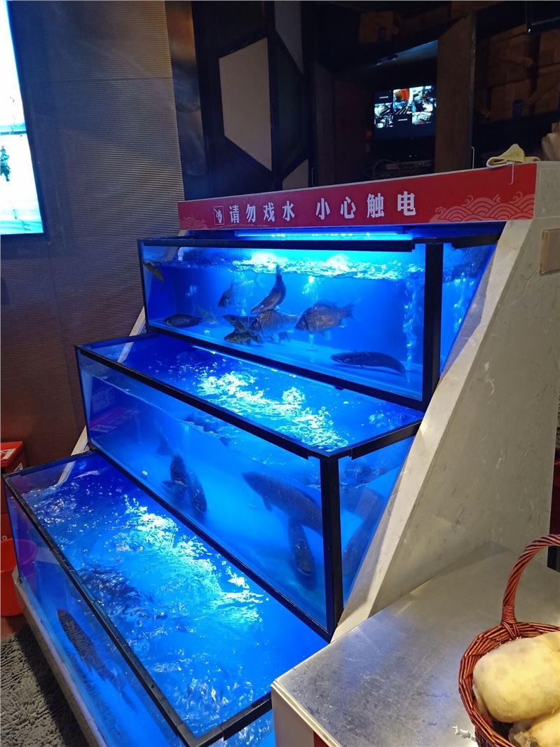 简易鱼缸永州海鲜鱼缸公司
