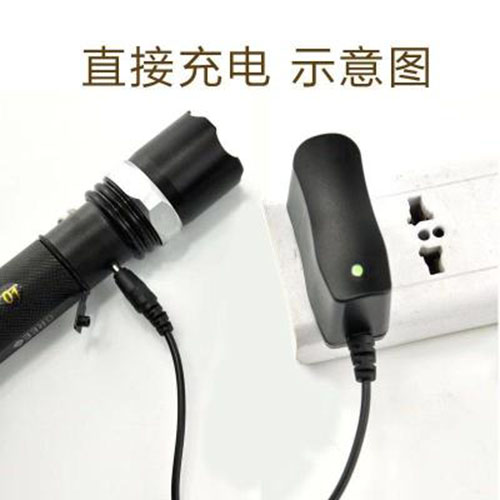 驷宁 LED强光手电筒 手电筒 4W