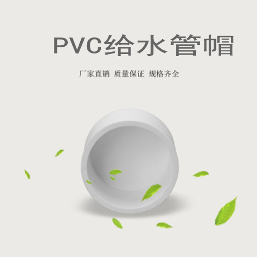 中财 PVC给水管帽 管帽 DN20