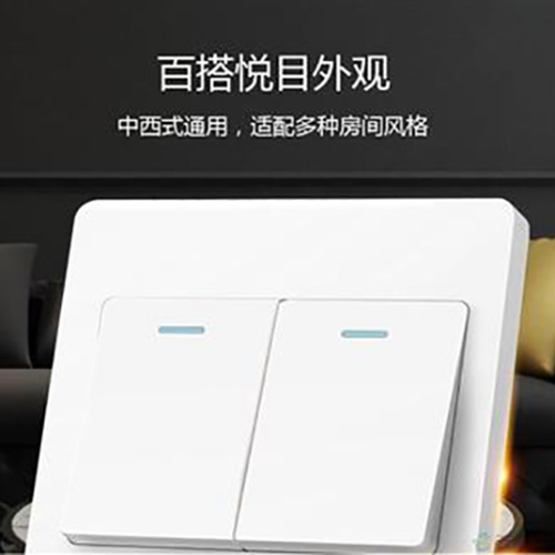 涛驰 双联单控开关 开关 10A 250V