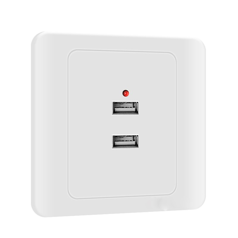 正习 二位USB插座 10A 36V 单相