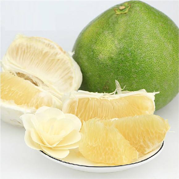 青柚苗泰国考雅蜂蜜蜜柚苗青柚苗大型育苗场