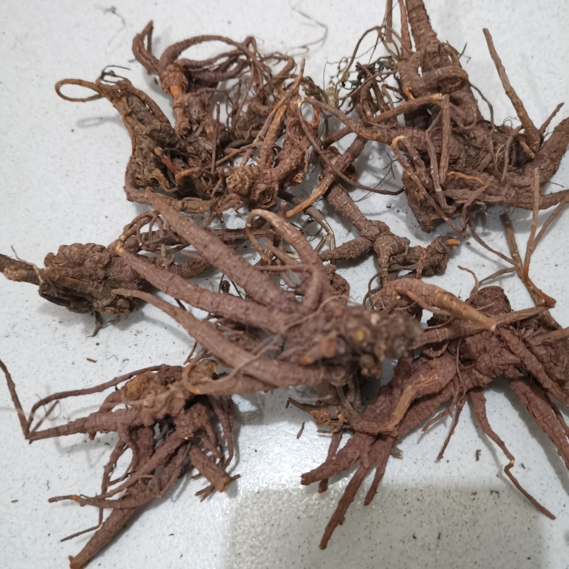 隔山香 平顶山隔山香厂家电话