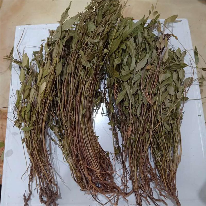 瓜子金 天津瓜子金制造商