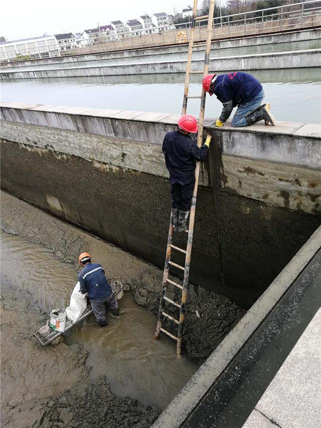 保护层、防水层及伸缩乐鱼app缝工程