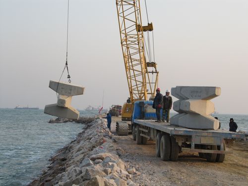 扭王块 惠州8吨扭王字块质量保证