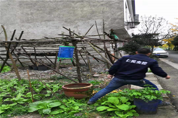 灭蟑螂灭虫 青羊区幼儿园灭蟑螂