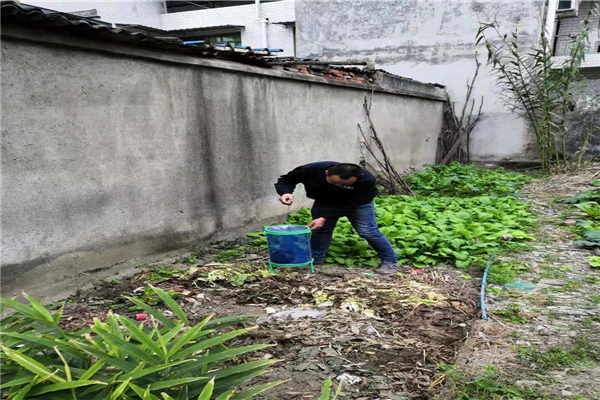 灭蟑螂消杀 新都咖啡店灭除蟑螂