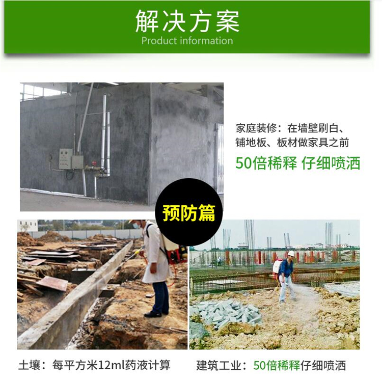 白蚁治理